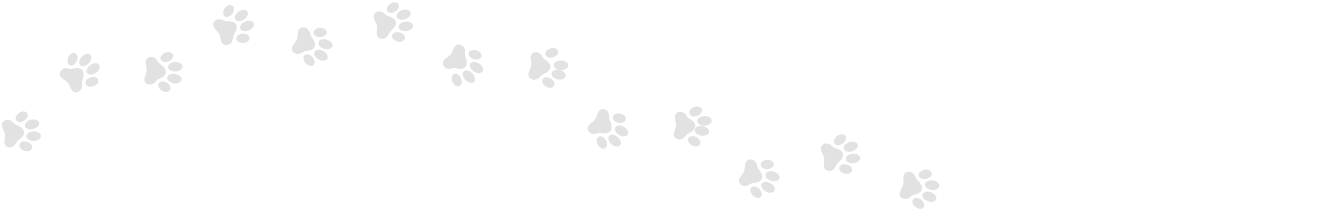 interaktif hizmetler .com