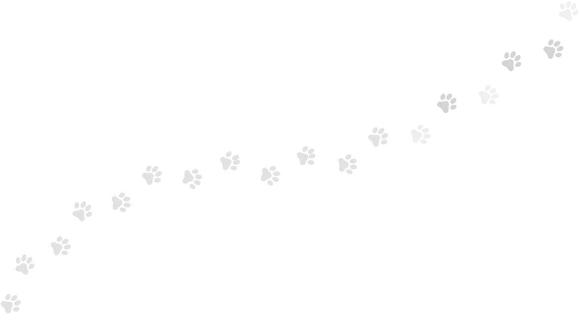 interaktif hizmetler .com