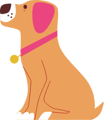 webmaster hizmetleri