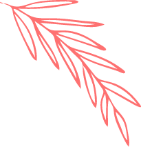 webmaster hizmetleri