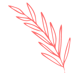 webmaster hizmetleri