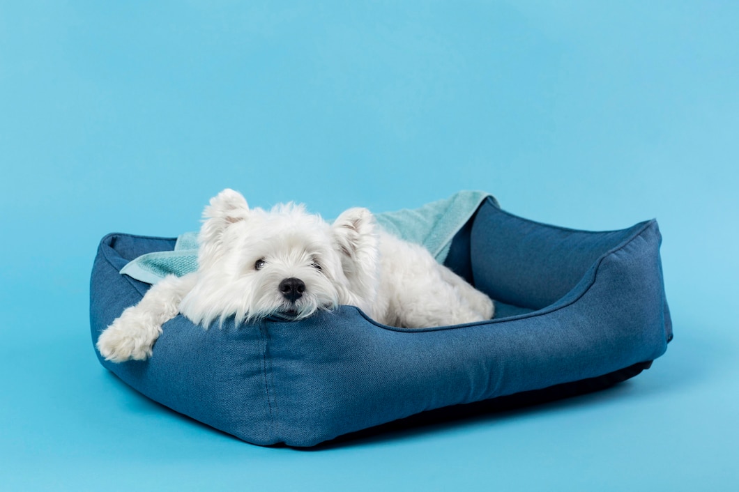 Tedavi Süreçlerimiz